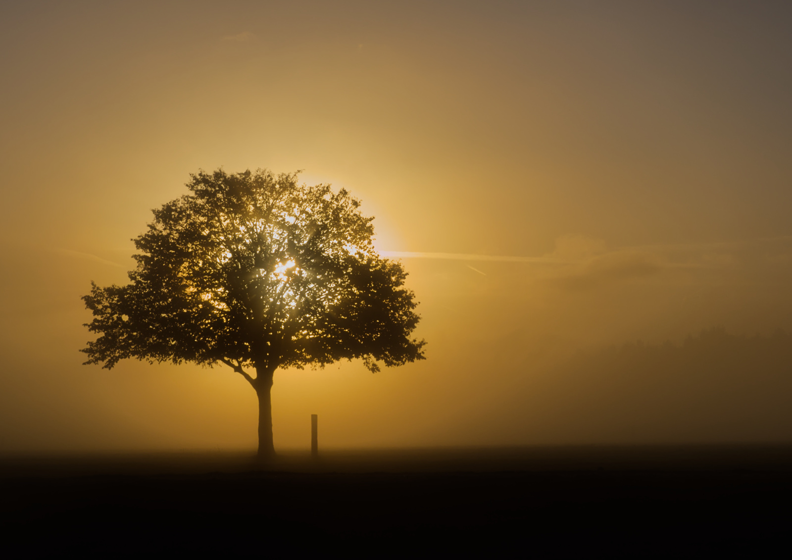 2nd Place - Jackie Rea - Henley Sunrise